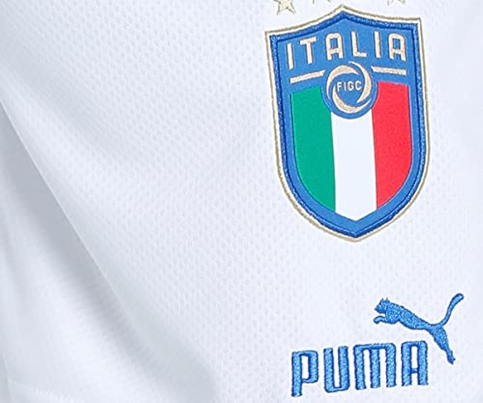 PUMA FIGC Shorts Replica Pantaloncini Corti Uomo 941514070